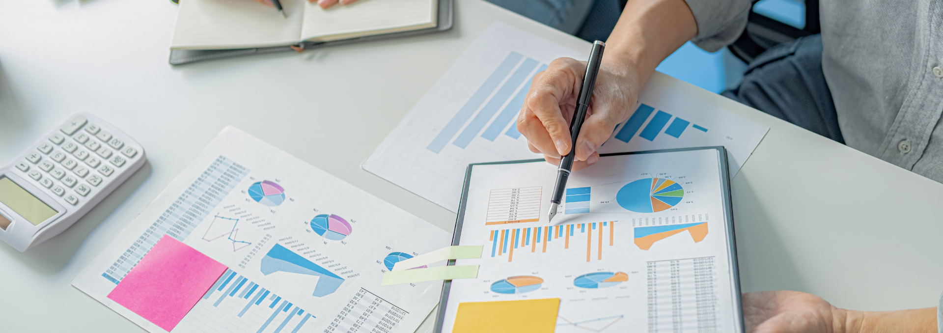 Startup Support Plus