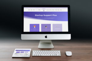 Startup Support Plus Services